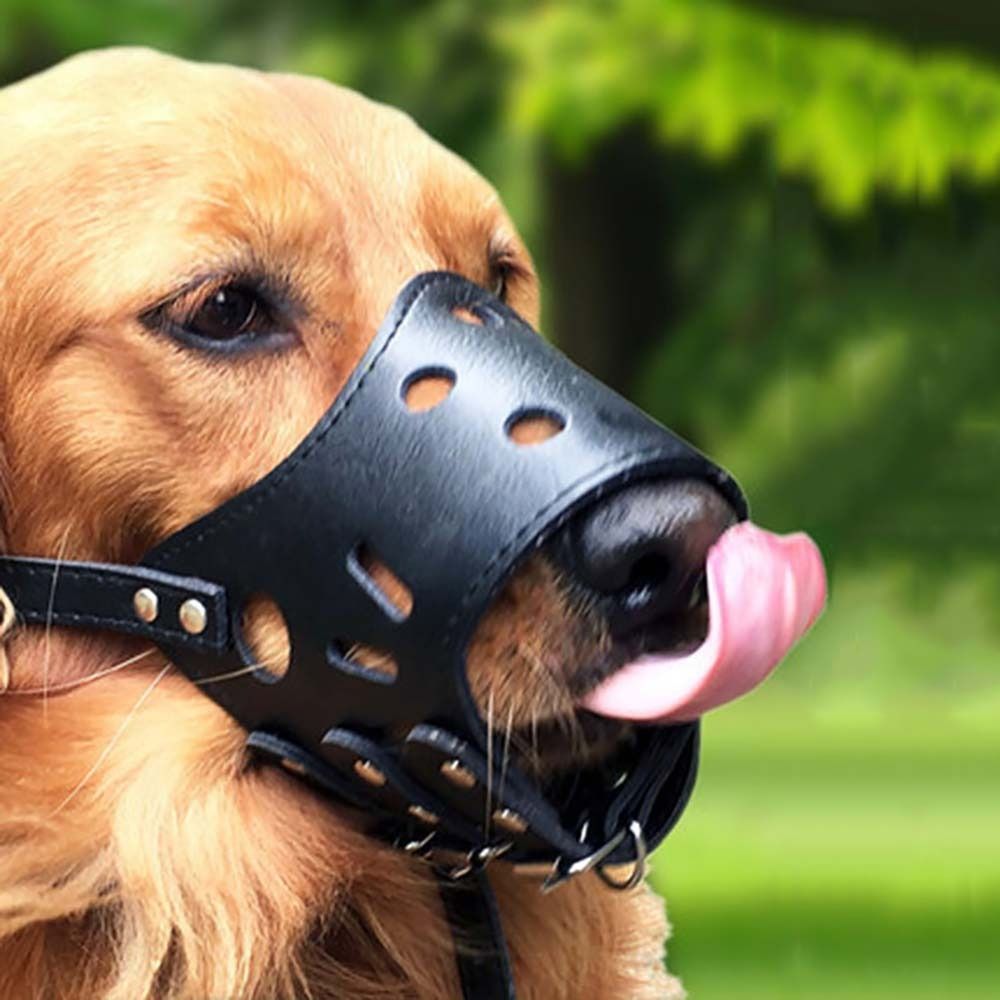 Pet Supplies Plus - Anti-ısırma Güvenli Anti Bark Çiğneme Küçük