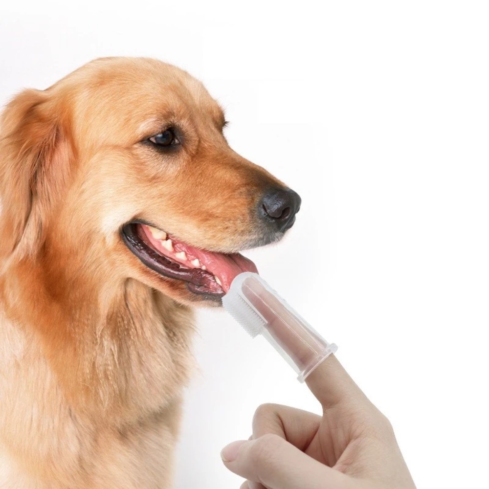 Pet Supplies For Dogs - Süper Yumuşak Pet Parmak Diş Fırçası