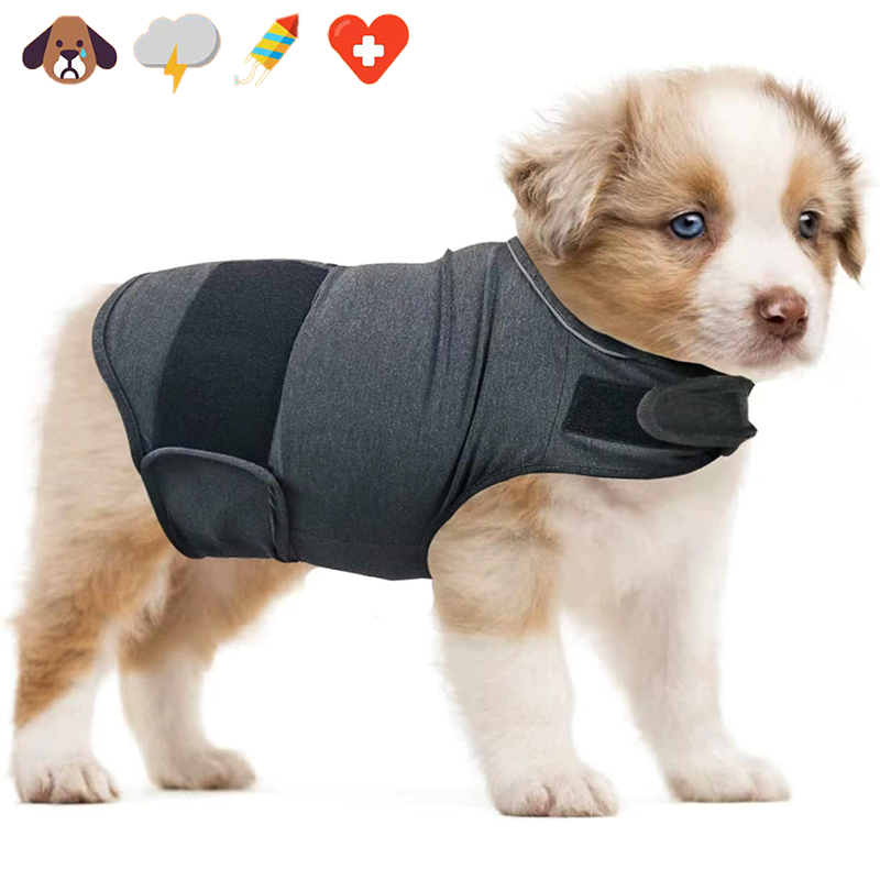 Dog Anxiety Vest - Köpek Anksiyete Yeleği Nefes Alabilen Köpek