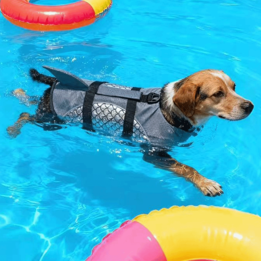 Dog Life Jacket - Güçlü Yüzdürme Köpek Can Yeleği Parlak