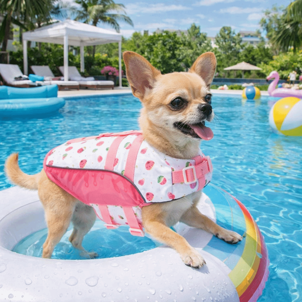 Dog Life Jacket - Ayarlanabilir Köpek Can Yeleği Yüksek Yüzdürme