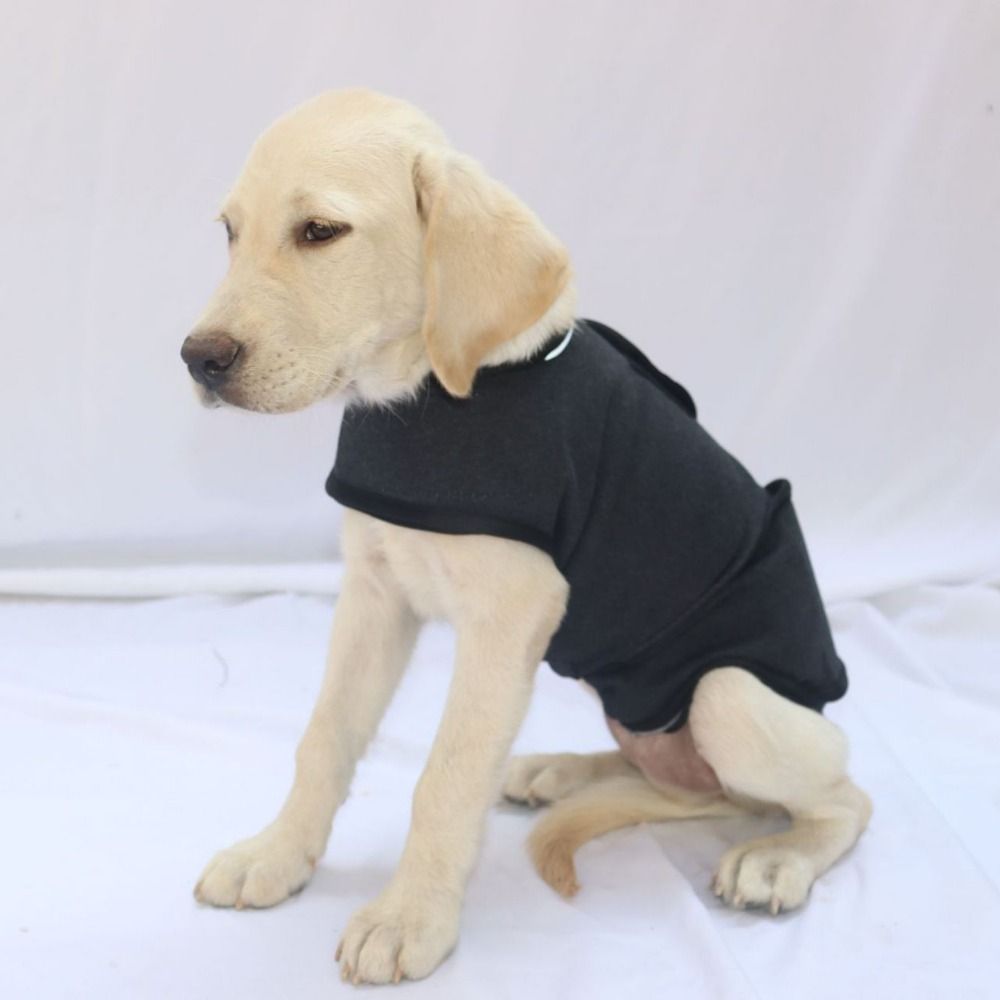Dog Anxiety Vest - Pet sıcak yelek nefes köpek anksiyete