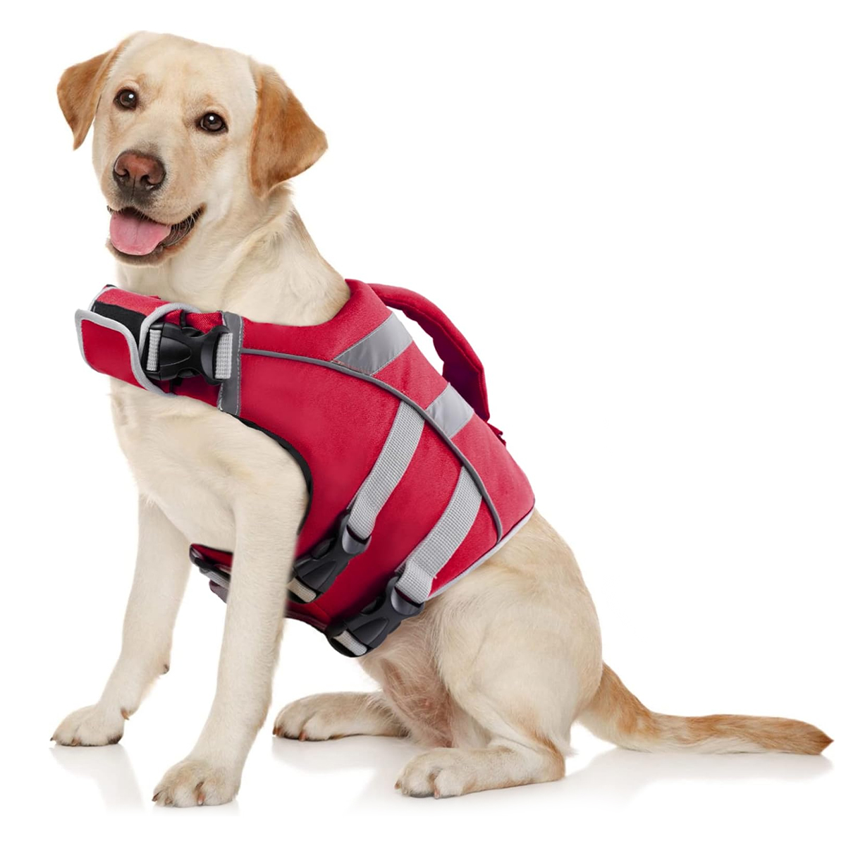 Köpeğinizin su maceralarının g - Dog Life Jacket incelemesi ve fiyatı