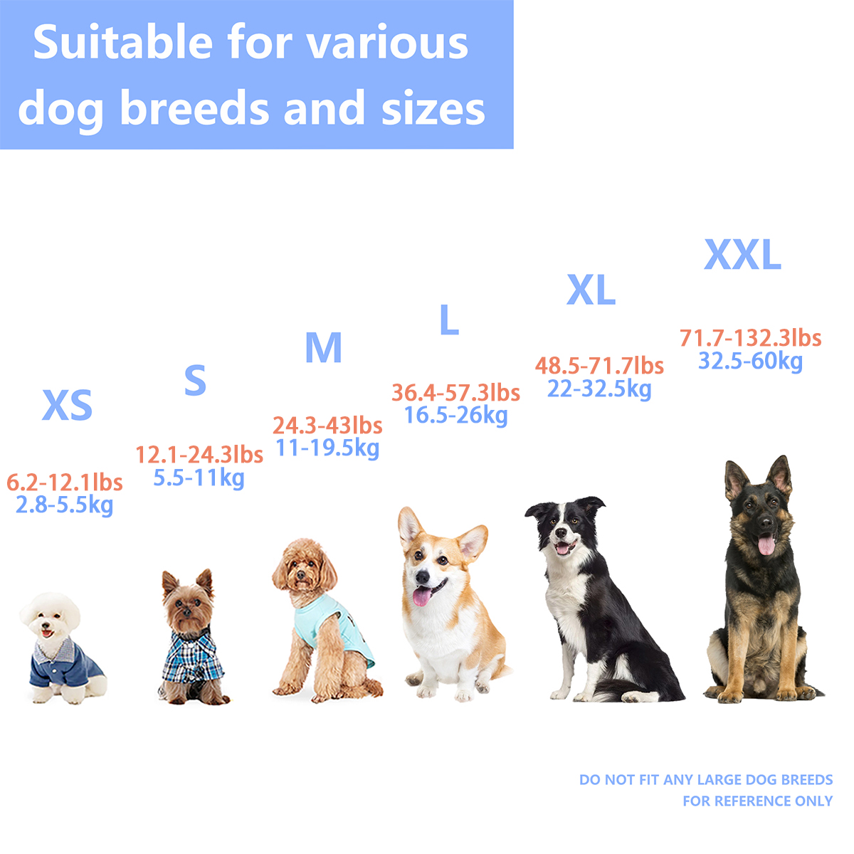 Köpeğinizin su maceralarının g - Dog Life Jacket incelemesi ve fiyatı