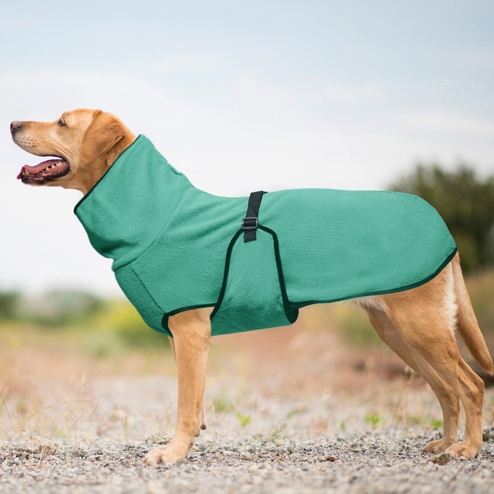 Düz Renk Sıcak Kış Köpek Giysi - Dog Anxiety Vest incelemesi ve fiyatı