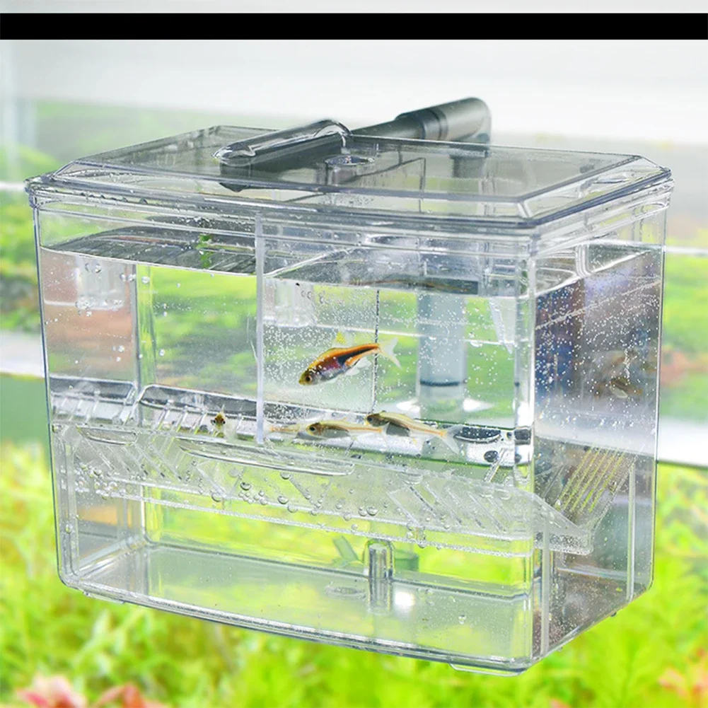 Akvaryum Balık Yetiştirme Kutu - Pet Supplies Fish incelemesi ve fiyatı