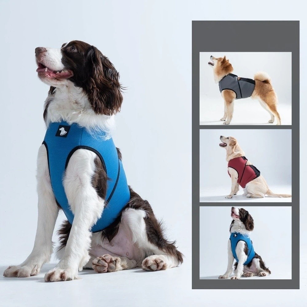 Nefes Alabilen Köpek Sakinleşt - Dog Anxiety Vest incelemesi ve fiyatı