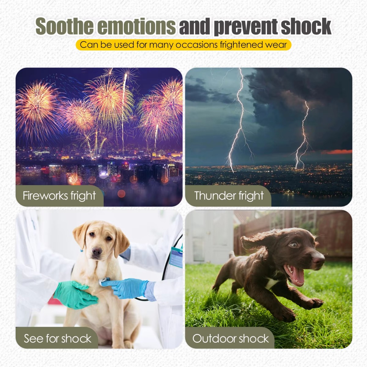 Köpek Anksiyete Yeleği ve Ceke - Dog Anxiety Vest incelemesi ve fiyatı