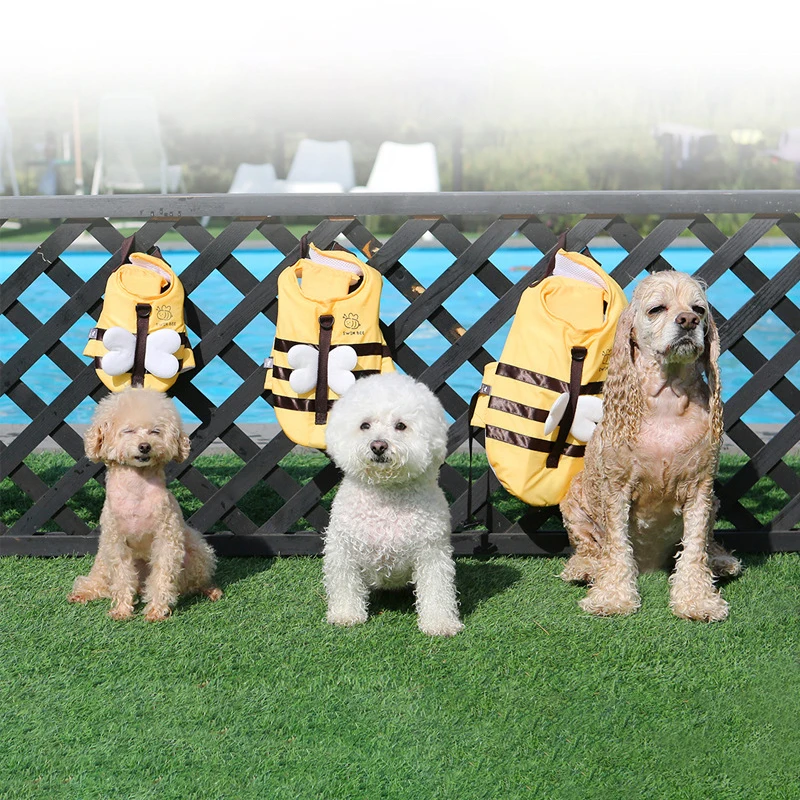 Yaz küçük arı köpek mayo su ge - Dog Life Jacket incelemesi ve fiyatı