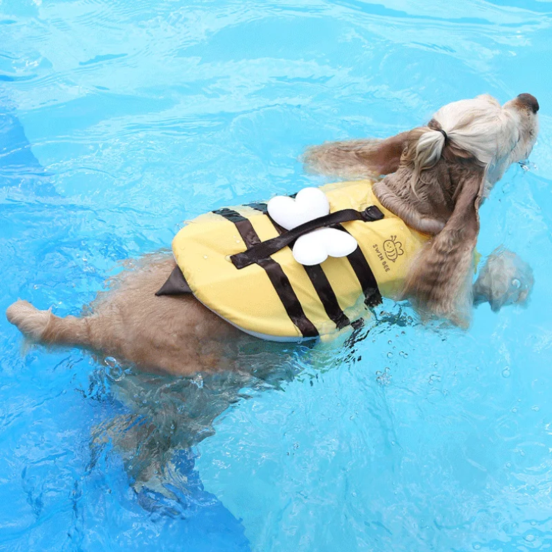 Yaz küçük arı köpek mayo su ge - Dog Life Jacket incelemesi ve fiyatı