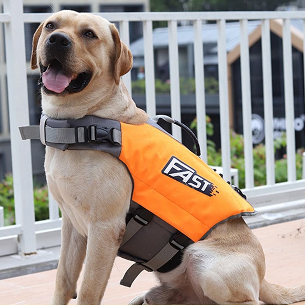 Ayarlanabilir Evcil Hayvan Yüz - Dog Life Jacket incelemesi ve fiyatı