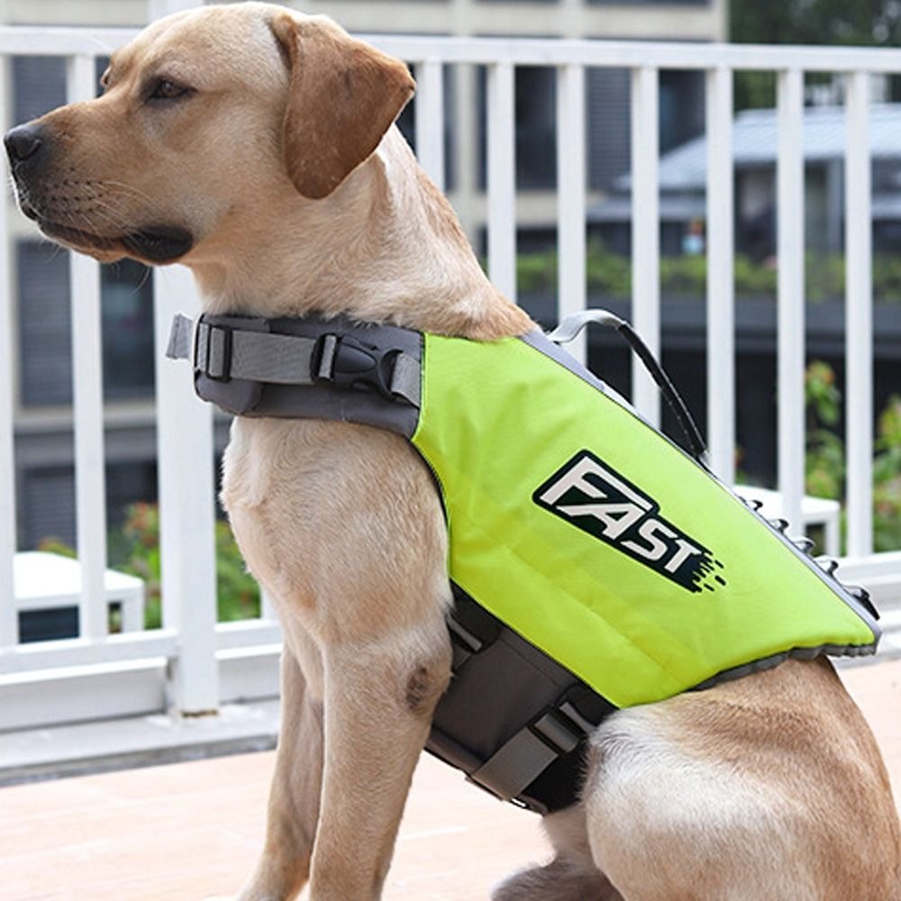 Ayarlanabilir Evcil Hayvan Yüz - Dog Life Jacket incelemesi ve fiyatı