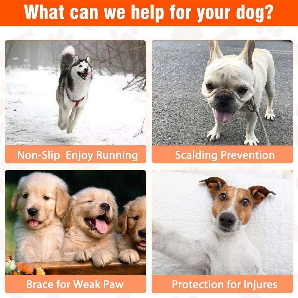 24 adet köpek Paw koruyucu kay - Dog Booties Paw Protector incelemesi ve fiyatı