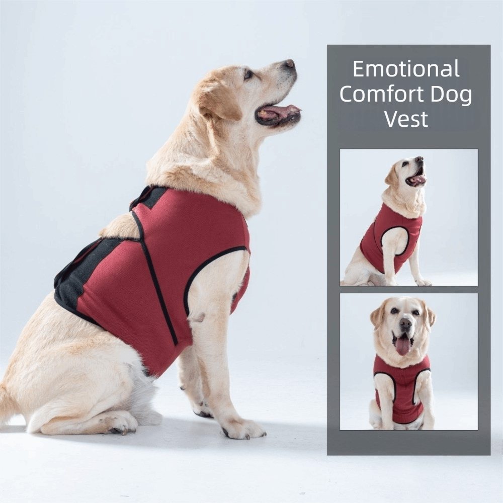 Pratik Nefes Alabilen Köpek Sa - Dog Anxiety Vest incelemesi ve fiyatı