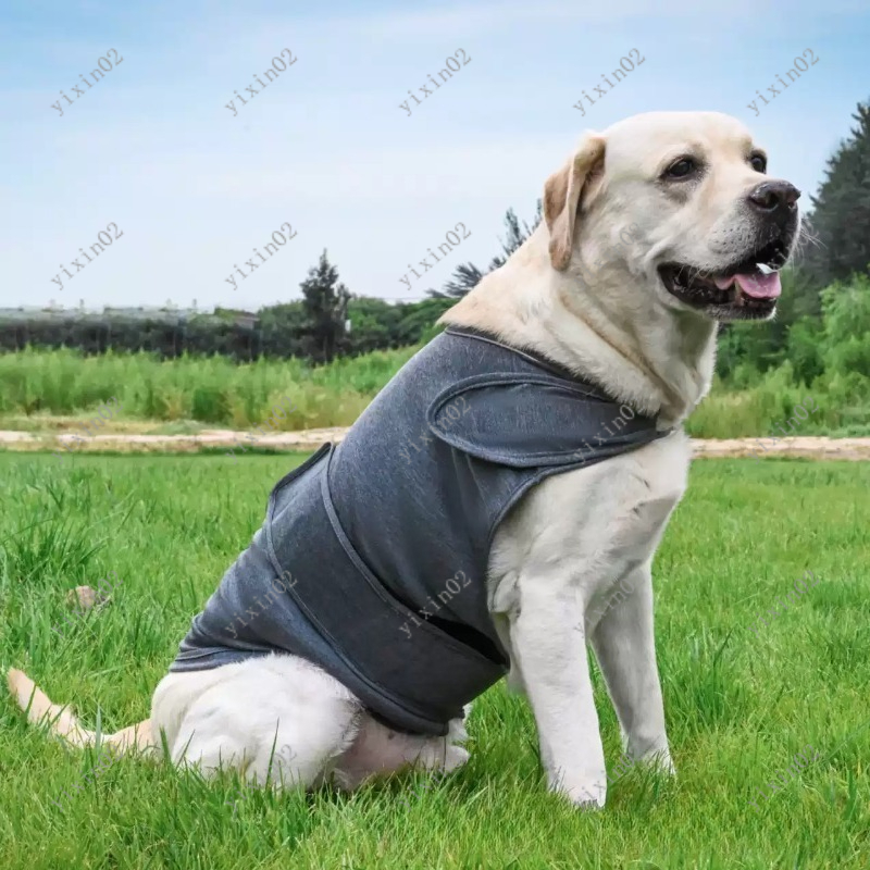 Klasik Nefes Alabilen Köpek An - Dog Anxiety Vest incelemesi ve fiyatı