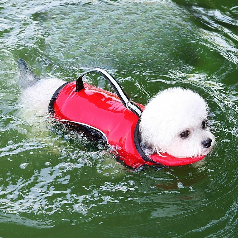 Köpekler İçin Mayo Yazlık Evci - Dog Life Jacket incelemesi ve fiyatı