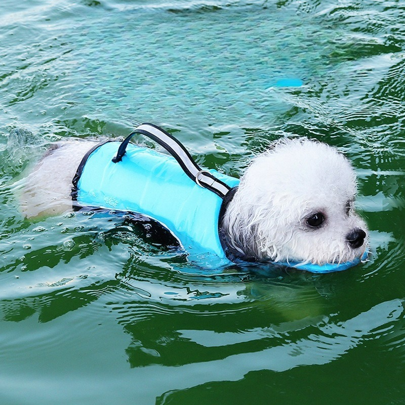 Köpekler İçin Mayo Yazlık Evci - Dog Life Jacket incelemesi ve fiyatı