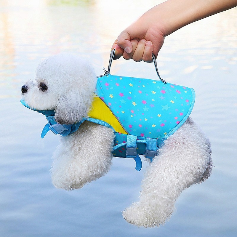 Köpekler İçin Mayo Yazlık Evci - Dog Life Jacket incelemesi ve fiyatı