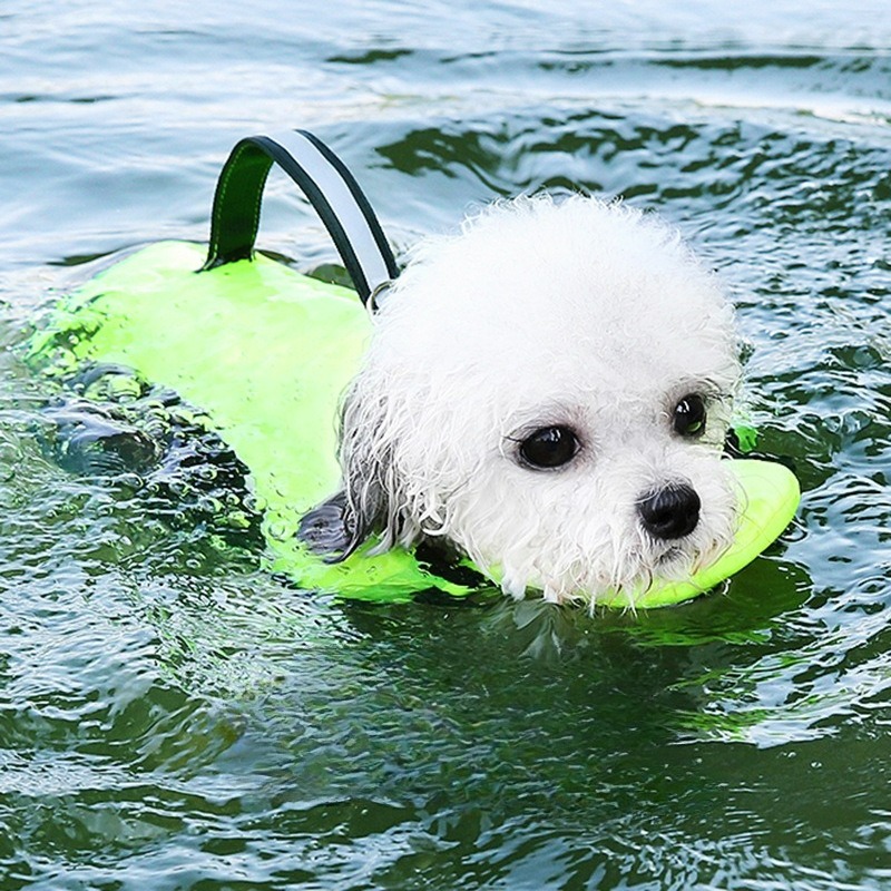 Köpekler İçin Mayo Yazlık Evci - Dog Life Jacket incelemesi ve fiyatı