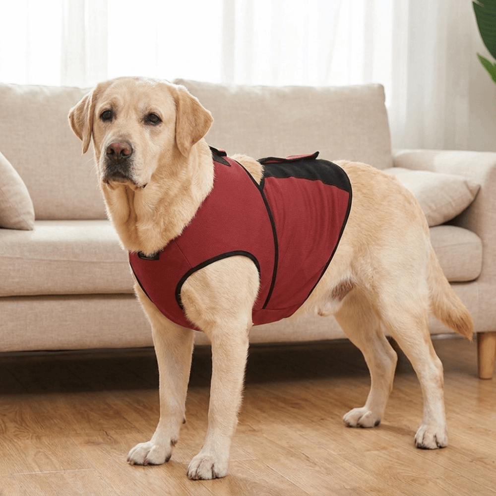 Pratik Nefes Alabilen Köpek Sa - Dog Anxiety Vest incelemesi ve fiyatı