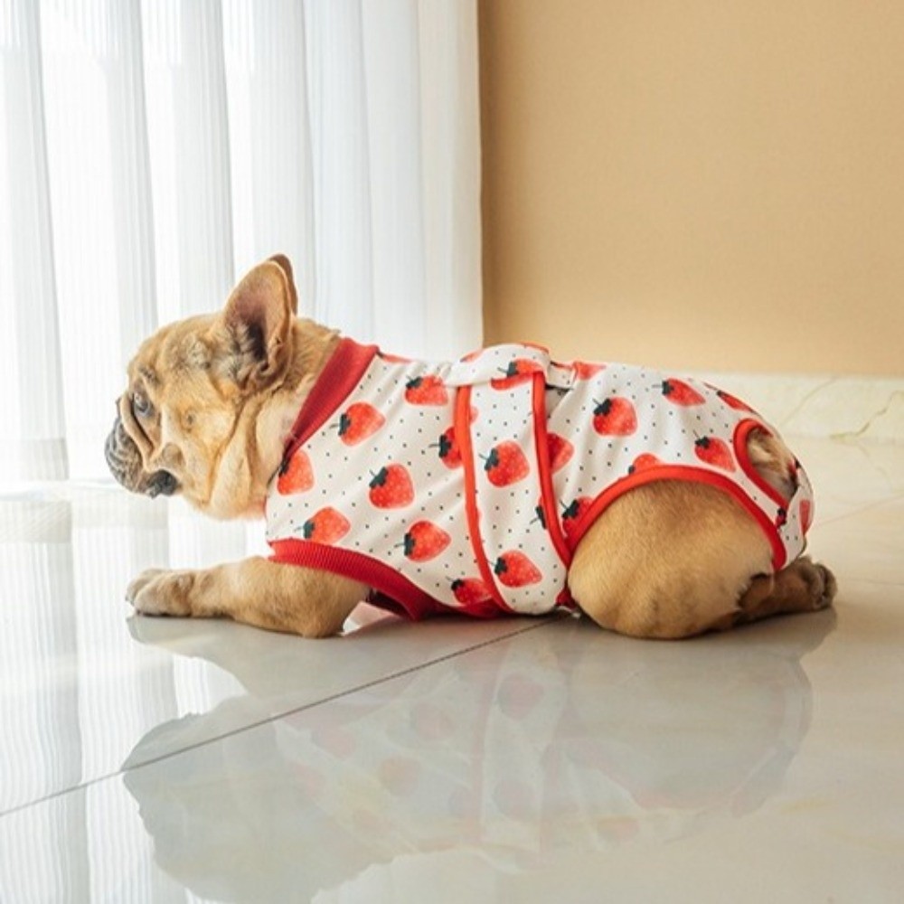 Evrensel Nefes Alabilen Köpek  - Dog Anxiety Vest incelemesi ve fiyatı