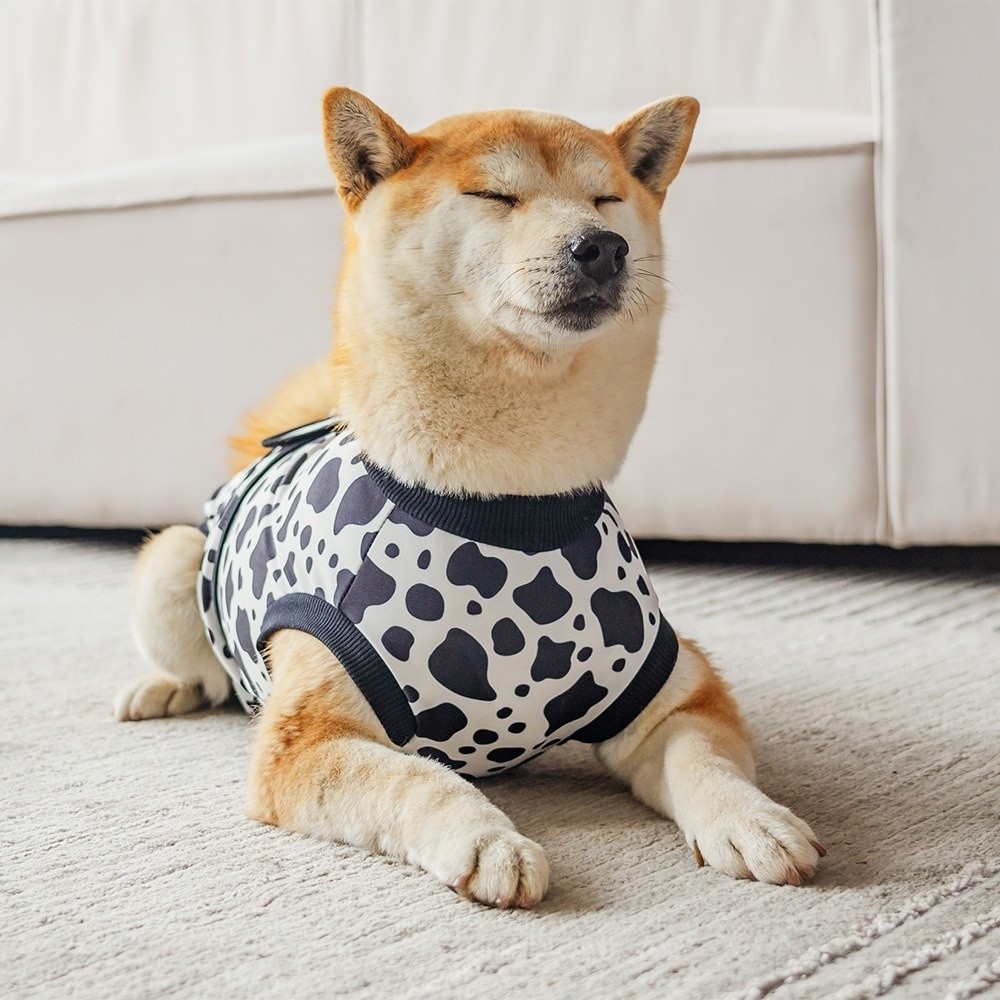 Evrensel Nefes Alabilen Köpek  - Dog Anxiety Vest incelemesi ve fiyatı