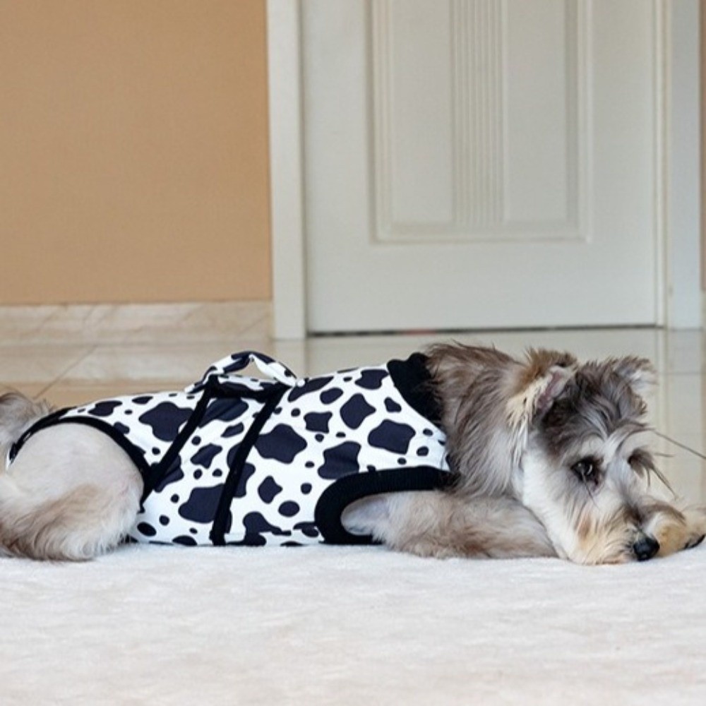 Evrensel Nefes Alabilen Köpek  - Dog Anxiety Vest incelemesi ve fiyatı