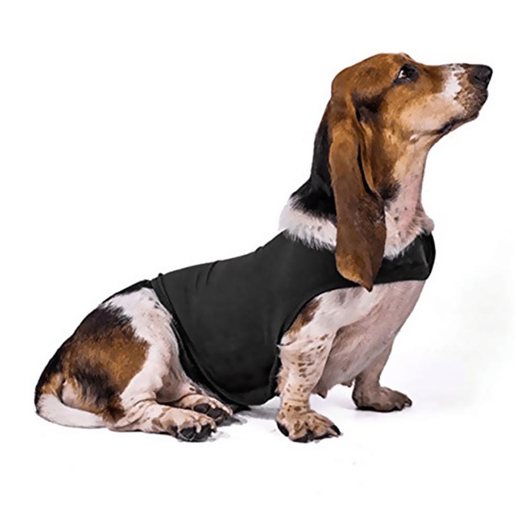 Evcil Hayvan Ceketi, Gök Gürül - Dog Anxiety Vest incelemesi ve fiyatı