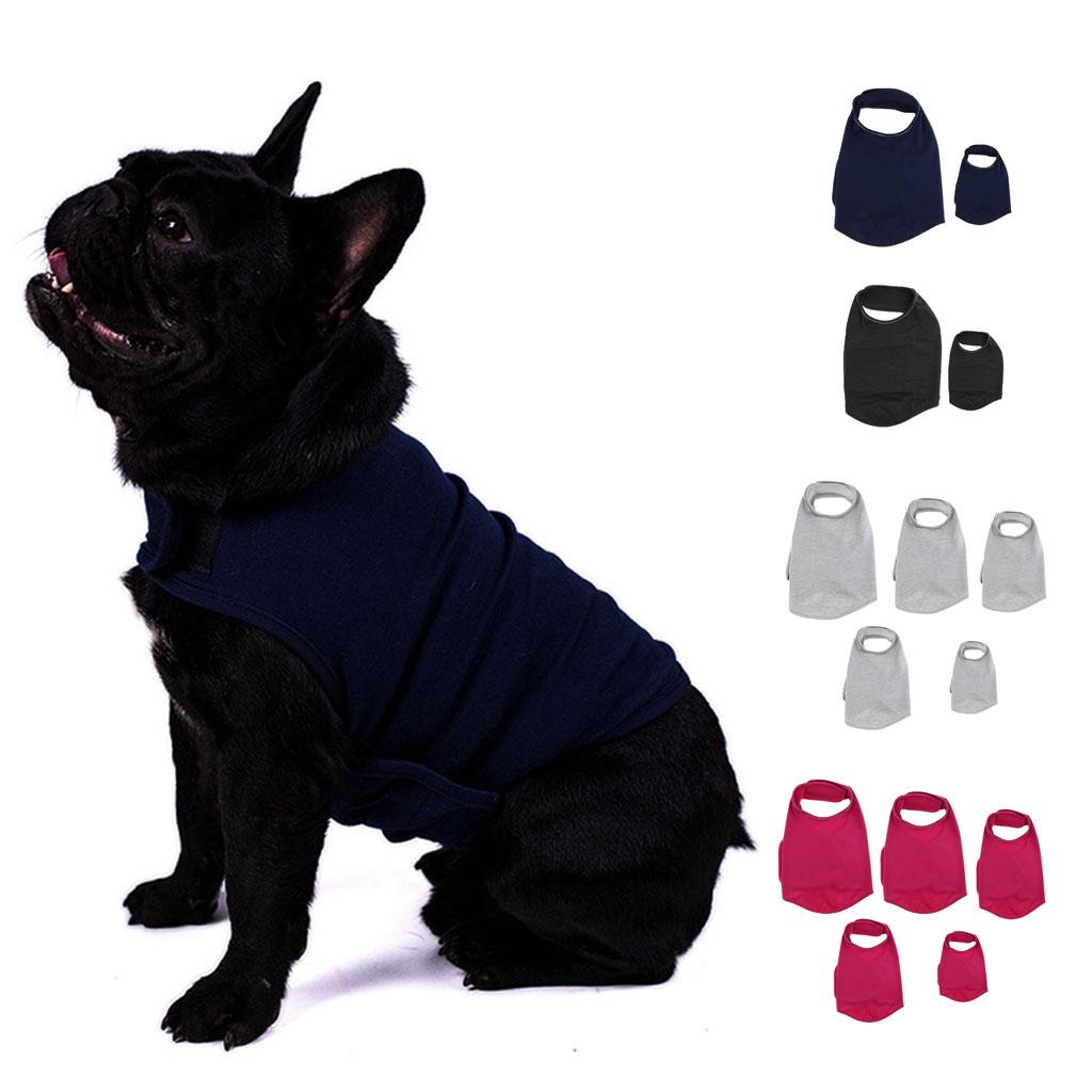 Evcil Hayvan Ceketi, Gök Gürül - Dog Anxiety Vest incelemesi ve fiyatı