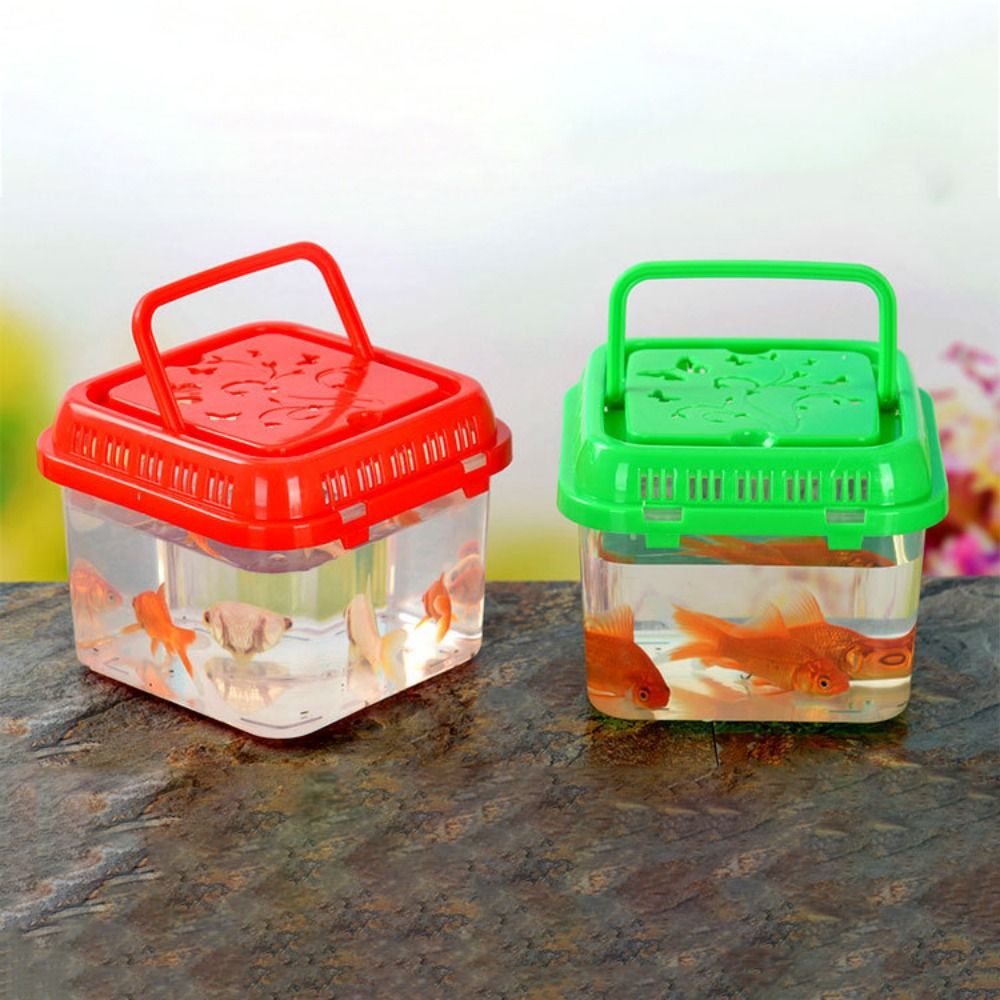 Mini taşınabilir balık tankı P - Pet Supplies Fish incelemesi ve fiyatı