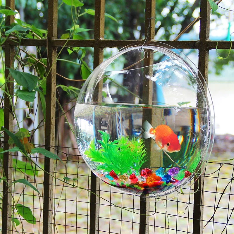Pinsjar Akrilik Balık Kase Duv - Pet Supplies Fish incelemesi ve fiyatı
