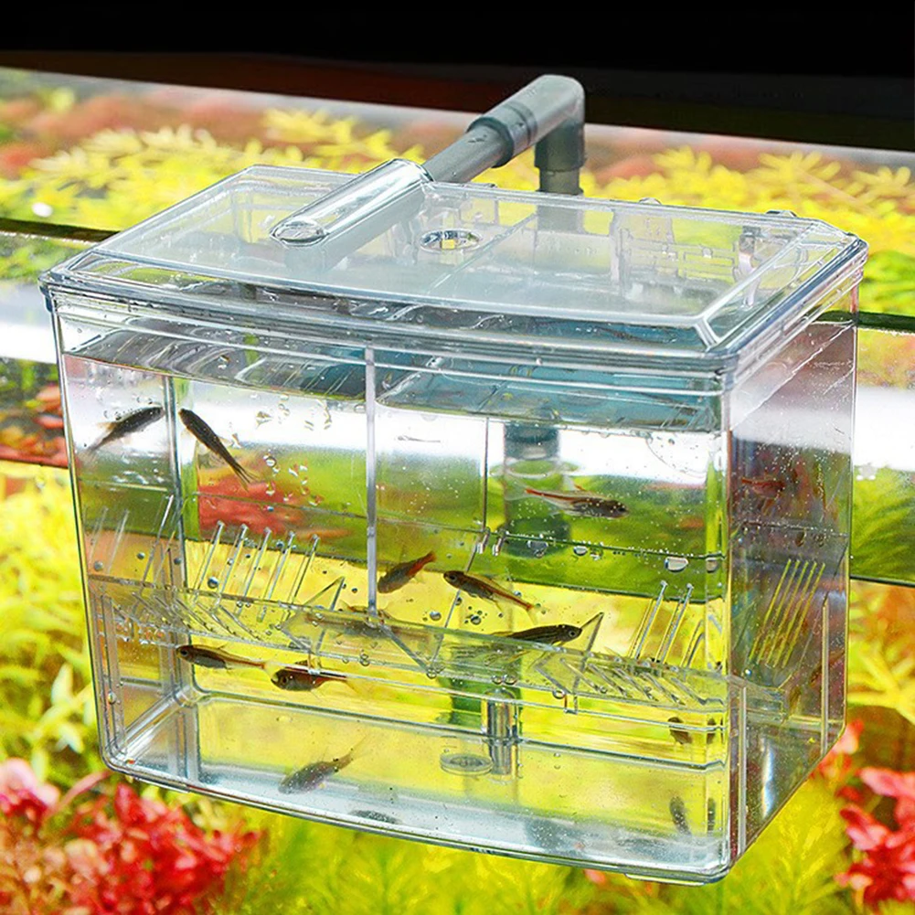 1.25L 2.5L Akvaryum Balık Yeti - Pet Supplies Fish incelemesi ve fiyatı