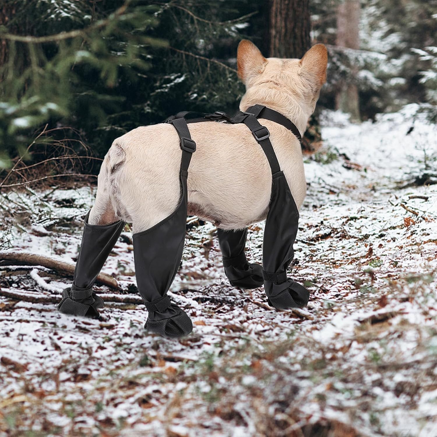 Su geçirmez Köpek Botları Kaym - Dog Booties Paw Protector incelemesi ve fiyatı