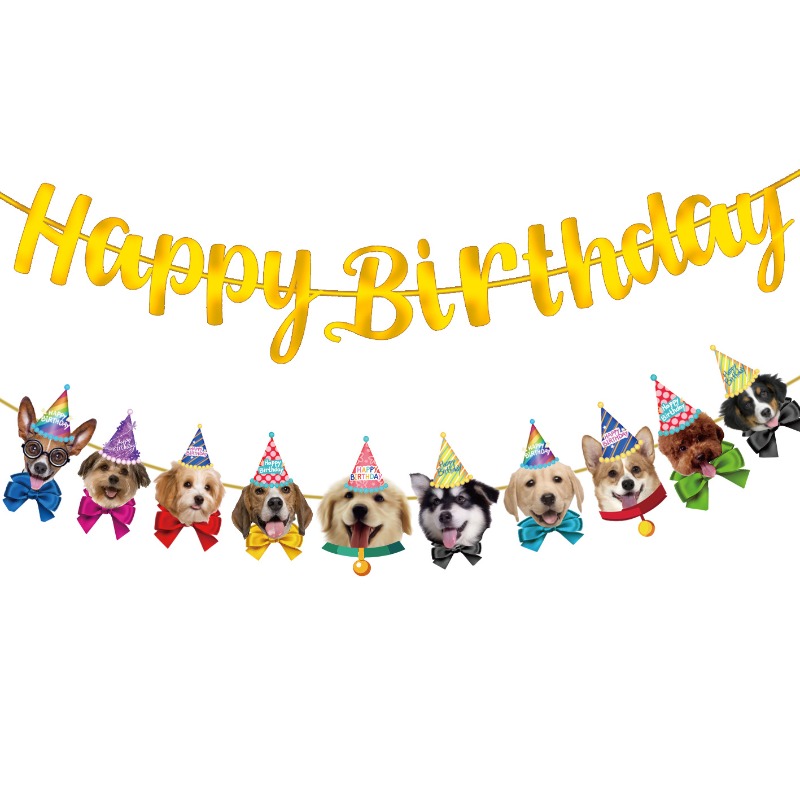 Şenlikli Kedi Köpek Afiş Seti  - Pet Supplies For Dogs incelemesi ve fiyatı