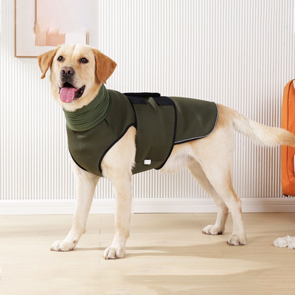 Köpek Sakinleştirici Korse Ela - Dog Anxiety Vest incelemesi ve fiyatı