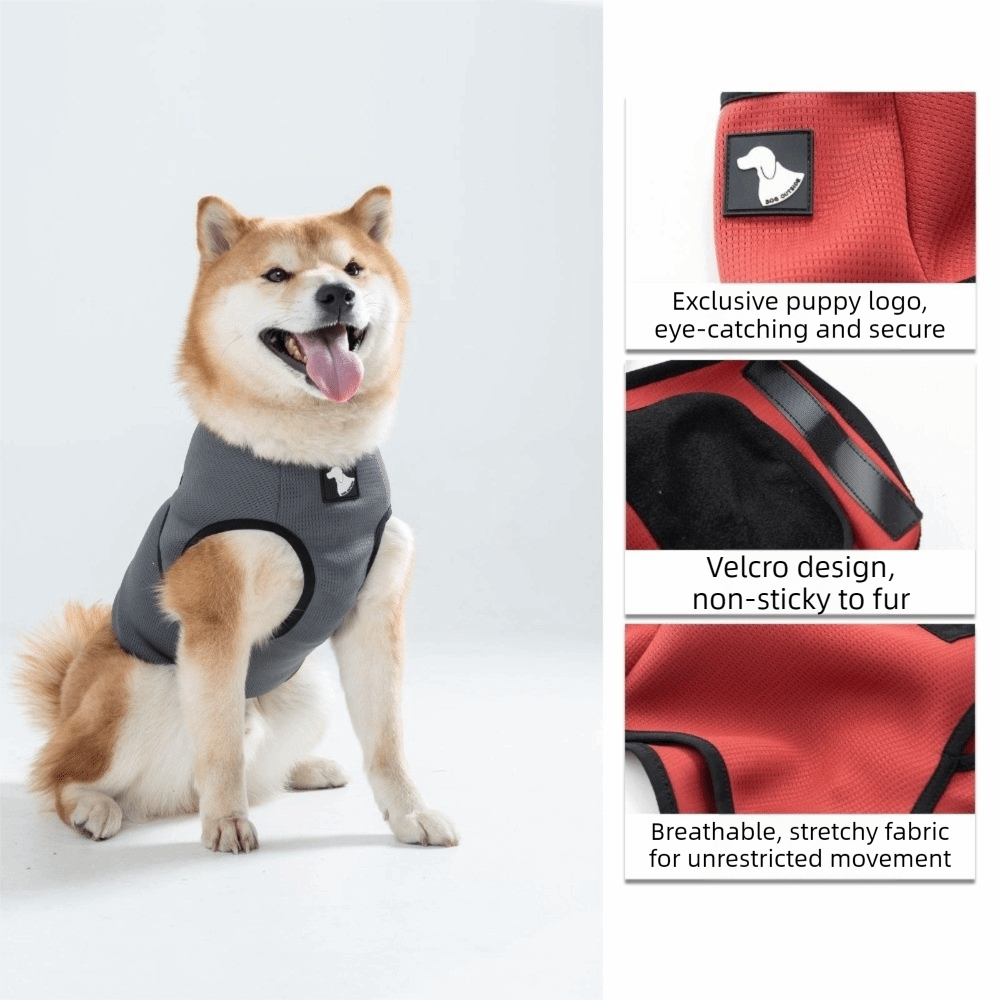 Evcil Hayvan Rahatlık Kıyafetl - Dog Anxiety Vest incelemesi ve fiyatı