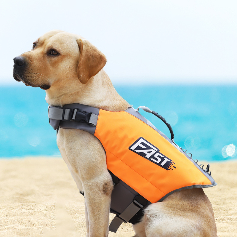 Evcil Hayvan Yüzme Can Yeleği  - Dog Life Jacket incelemesi ve fiyatı