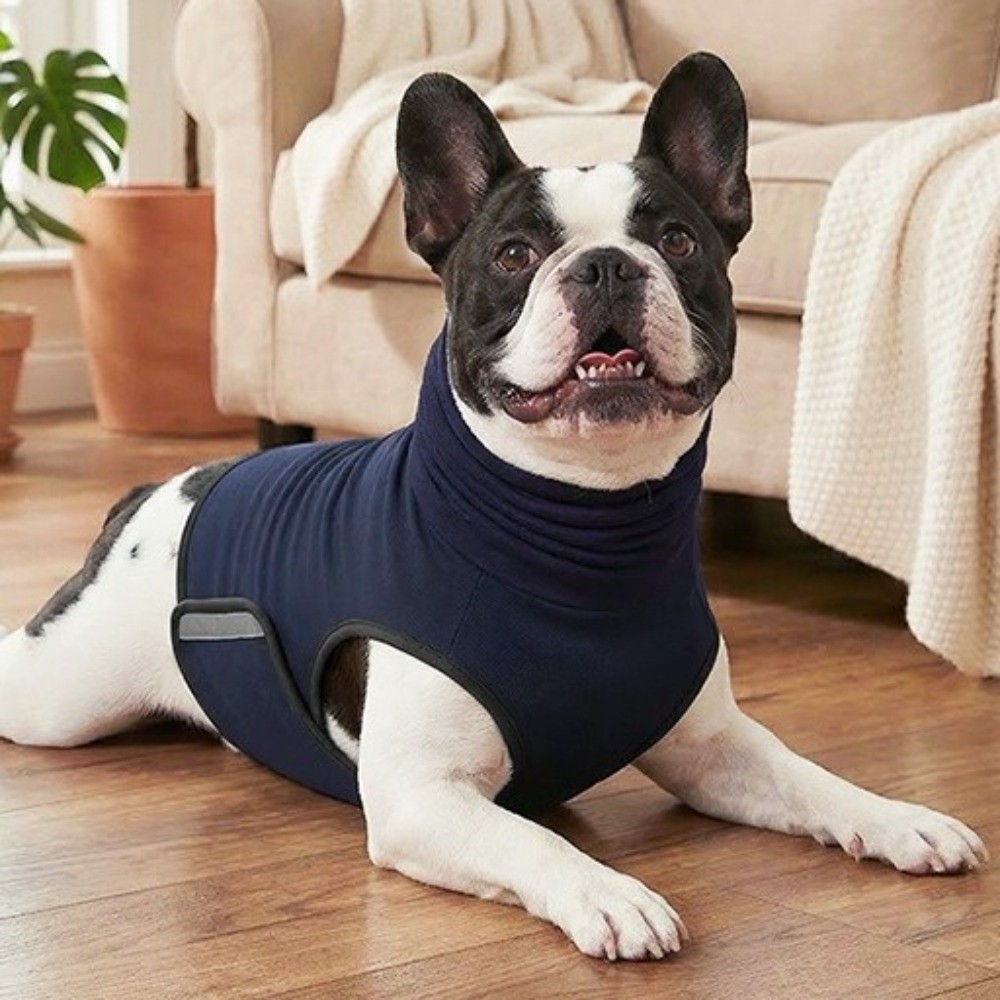 Gürültü Önleyici Köpek Anksiye - Dog Anxiety Vest incelemesi ve fiyatı