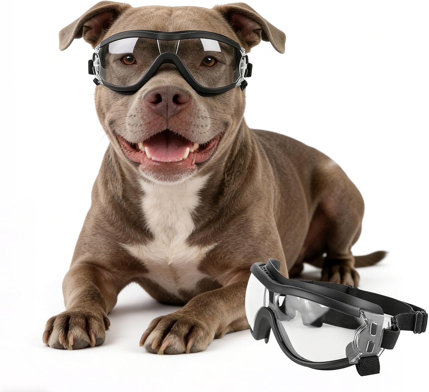 Köpekler için ayarlanabilir ev - Pet Supplies Plus incelemesi ve fiyatı