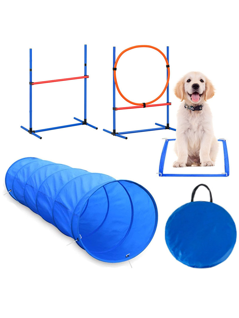 Köpek Engel Eğitim Yarışması M - Pet Supplies For Dogs incelemesi ve fiyatı