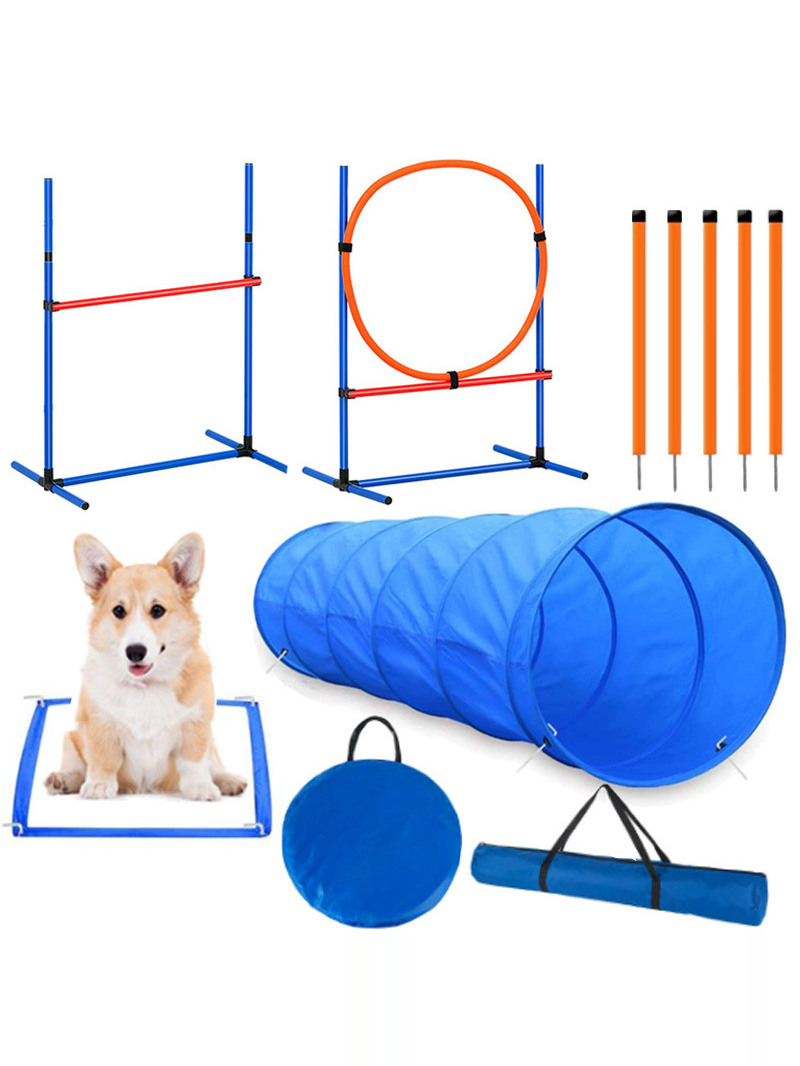 Köpek Engel Eğitim Yarışması M - Pet Supplies For Dogs incelemesi ve fiyatı