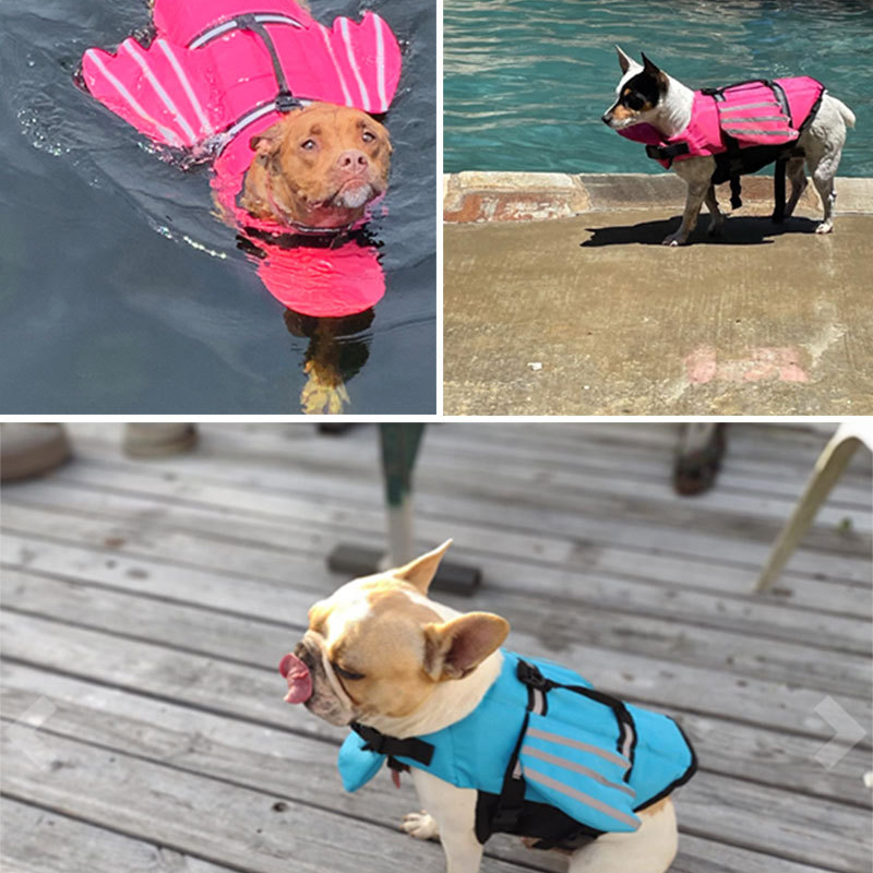 Köpek Can Yeleği Yansıtıcı Aya - Dog Life Jacket incelemesi ve fiyatı