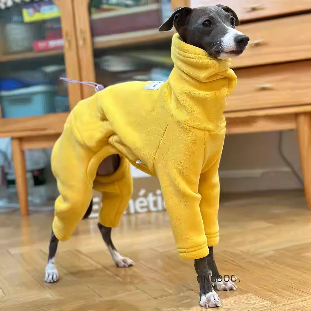İtalya Greyhound için sıcak Sa - Dog Life Jacket incelemesi ve fiyatı