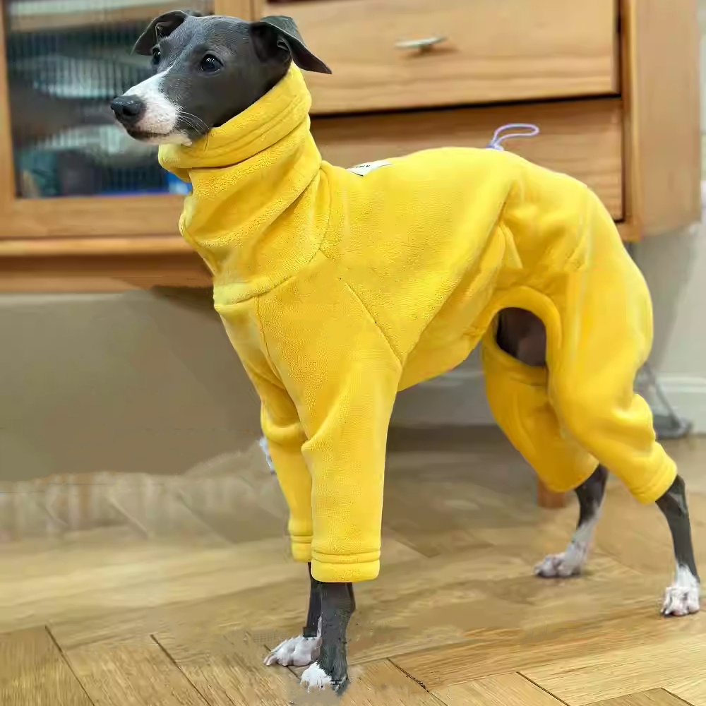 İtalya Greyhound için sıcak Sa - Dog Life Jacket incelemesi ve fiyatı