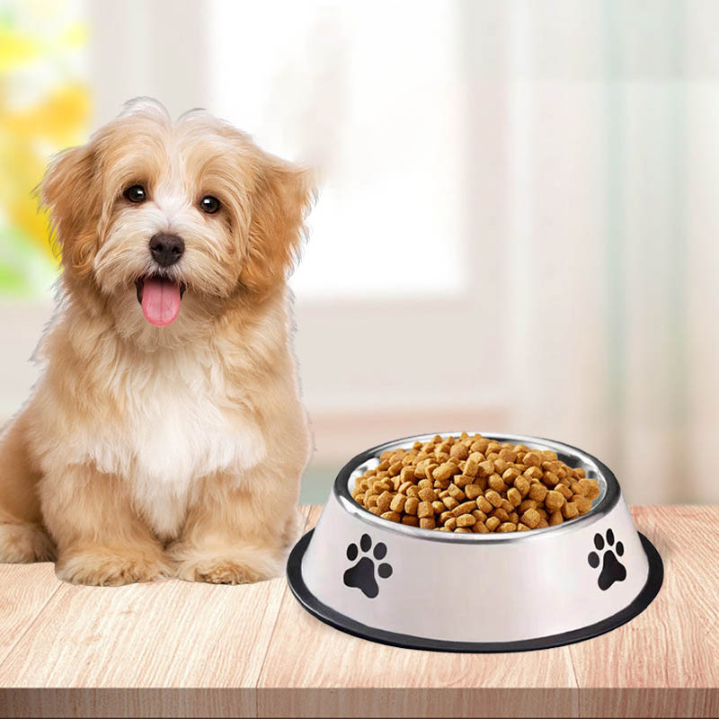 Paslanmaz Çelik Evcil Hayvan K - Pet Supplies Plus incelemesi ve fiyatı