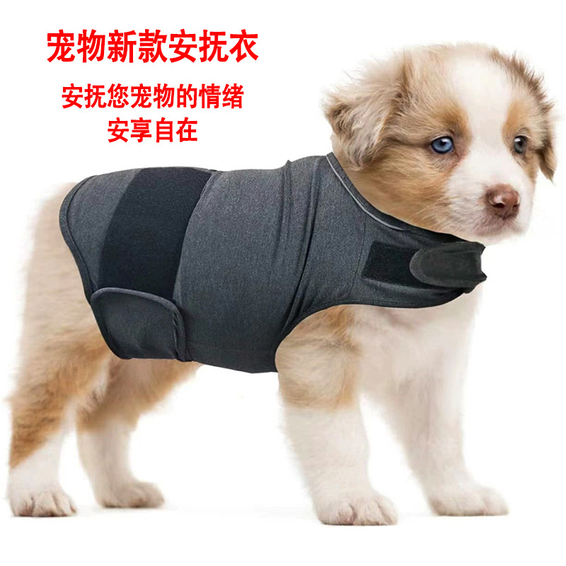 Üçüncü Nesil Köpek Anksiyete G - Dog Anxiety Vest incelemesi ve fiyatı