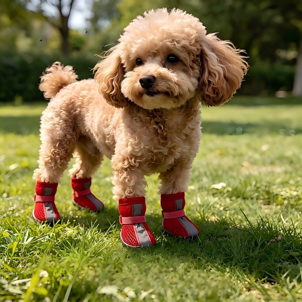 4 ADET/SET Dayanıklı Kaymaz Kö - Dog Booties Paw Protector incelemesi ve fiyatı