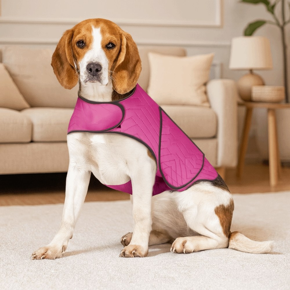 Pratik Elastik Köpek Anksiyete - Dog Anxiety Vest incelemesi ve fiyatı
