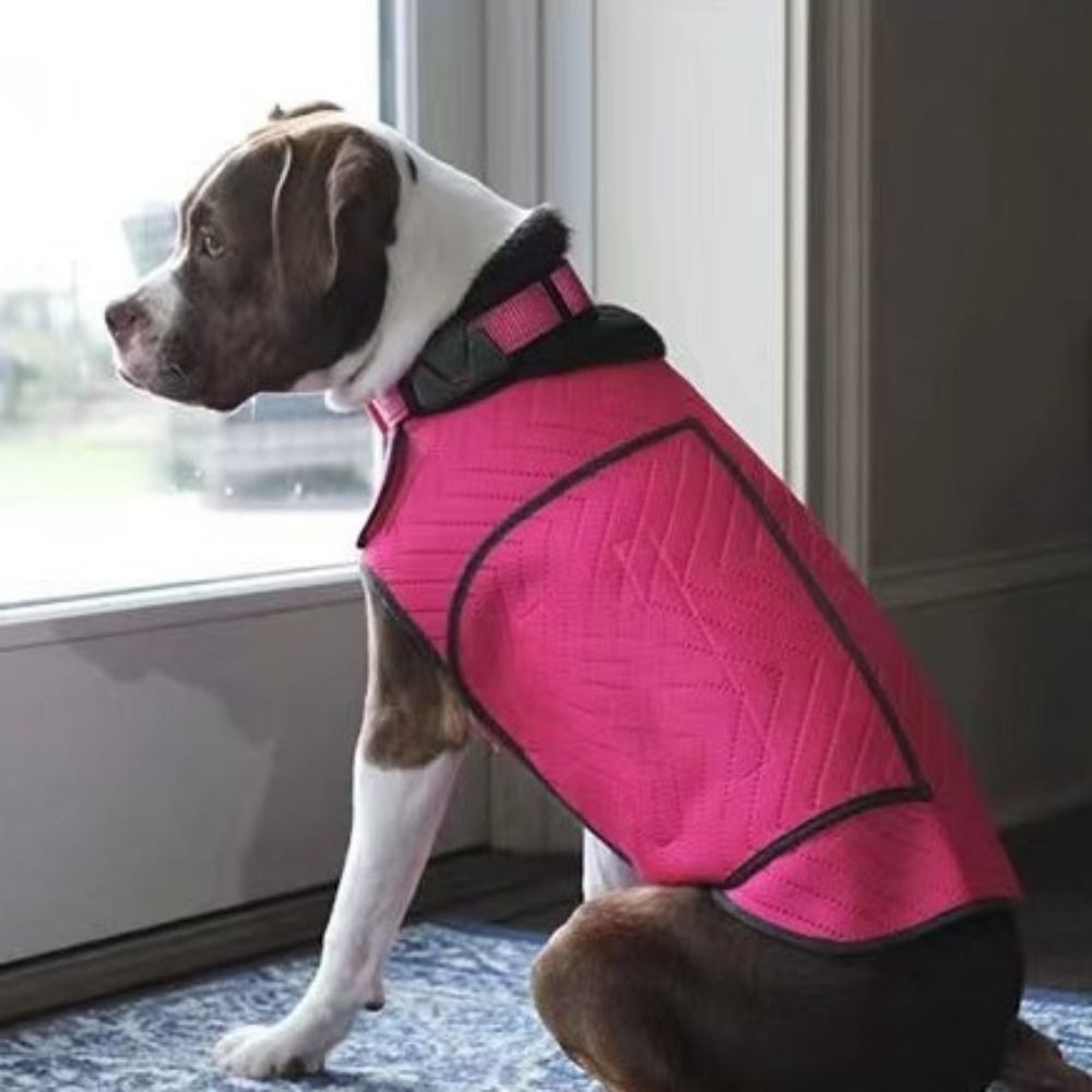 Pratik Elastik Köpek Anksiyete - Dog Anxiety Vest incelemesi ve fiyatı