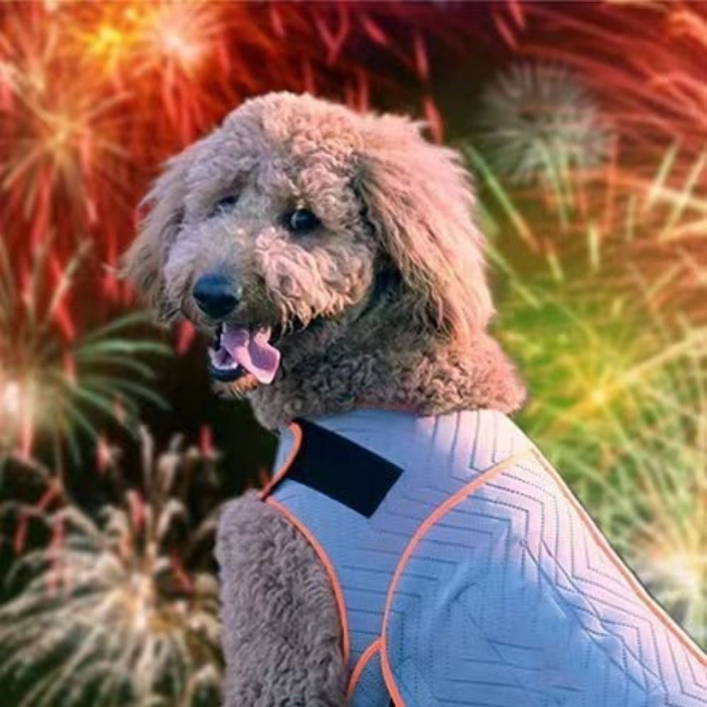 Pratik Elastik Köpek Anksiyete - Dog Anxiety Vest incelemesi ve fiyatı